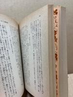 摩訶止観 : 禅の思想原理