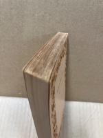 歴史の理論と歴史