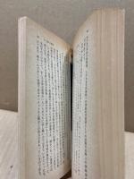 世界史的諸考察