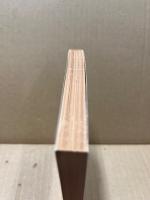 哲学者と法学徒との対話 : イングランドのコモン・ローをめぐる