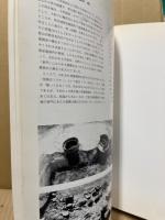 大和を掘る　1987年度発掘調査速報展8
