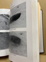 広島大学東広島キャンパス埋蔵文化財調査報告書　5冊揃