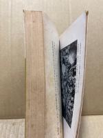 新しい考古学‐原始時代の人類と文化‐