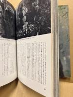 江戸の石仏　‐鑑賞と研究‐