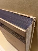 Oriental Rugs: Antique and Modern