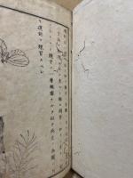 新式裁縫教授書