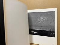 華と祈り 近藤弘明個展