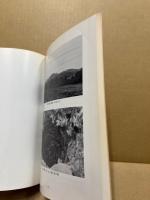大内氏分国 安芸・東西条始末記　（広島県の中世史）