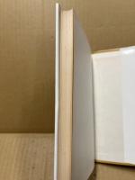 ヘンリー・ジェイムズの言語-文学の言語を支えるものについての試論