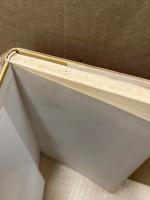 ヘンリー・ジェイムズの言語-文学の言語を支えるものについての試論