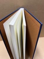 アメリカ文学と絵画 : 文学におけるピクトリアリズム