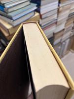 中国禅宗史の研究　‐南宗禅成立以後の政治社会史的考察‐