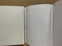 マーク・トウェインの転機