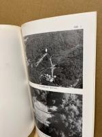 岡谷遺跡狐が城古墳発掘調査報告　広島市安芸区矢野町所在　広島市の文化財31