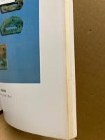 九郎杖遺跡権地遺跡発掘調査報告　(広島市の文化財 26)