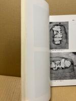 九郎杖遺跡権地遺跡発掘調査報告　(広島市の文化財 26)