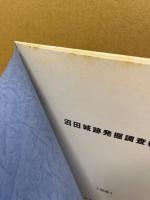 沼田城跡発掘調査報告書