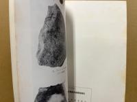 地宗寺遺跡発掘調査報告‐国道261号線道路改良工事に伴う埋蔵文化財の発掘調査‐