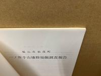 一ノ井手古墳群発掘調査報告　‐福山市加茂町‐