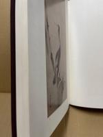 宮本武蔵名品集成