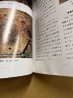 いぶき　ひろしまの中世遺跡・中世のひろしま　合併号3冊