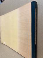 岩国地区地下構造調査報告書