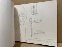 岩国地区地下構造調査報告書