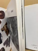 子どもにつたえる世界の戦争と平和 : 写真・絵画集成