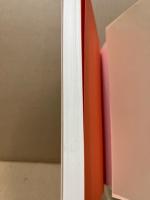 現代アメリカ文学 : 青春の軌跡