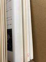 玉祖遺跡・西小路遺跡