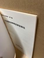 北迫遺跡遺構確認調査報告