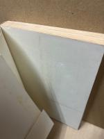 西洋の没落 : 文明と夜の思想家シュペングラーの生涯