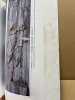 紀伊半島における四万十付加体研究の新展開