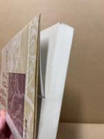 英米児童文学ガイド : 作品と理論