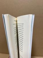 YOUNG AMERICANS IN LITERATURE　The Post-Romantic Turn in the Age of Poe, Hawthorne and Melville.