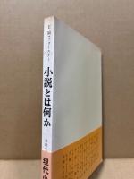 小説とは何か