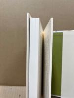 スパニッシュ・ヒロイン : 戦争と愛の物語