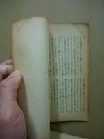 日本叢書75　賢者と政治