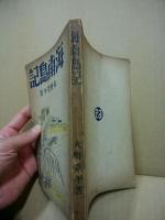 海南島記