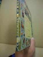 花のいろいろ　講談社の二年生文庫 ; 4