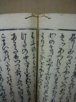 新板武家雛形