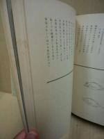 三樹洞句録　山口八九子遺句集