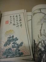 芥子園画伝　全四集(23冊揃)