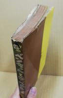 ベンちゃんとコッペさん