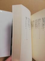 透明人間、街をゆく