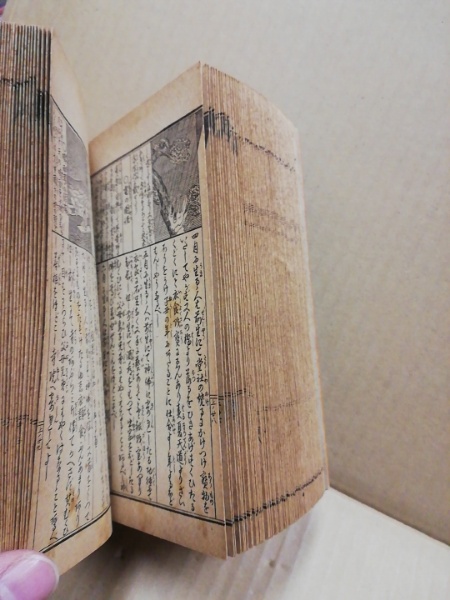 永代大雑書大成 : 万民重宝(名倉亀太郎 著) / (広島)大学堂書店