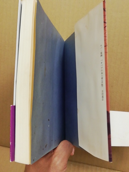 霊界の秘密 : 弘法大師と共に50年(浅野妙恵 著) / 古本、中古本、古