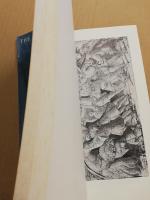 Drawings by Botticelli  The Great masters of drawing