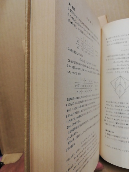 数学 I 代数篇 松坂和夫 著 評論社 大学受験 大学入試 激レア 超レトロ 代数系入門(松坂和夫 著) / 古本、中古本、古書籍の通販は「日本