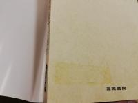 教師論・保育者論 : 子育て文化の継承と再発見 : 幼稚園教諭・保育士養成課程用